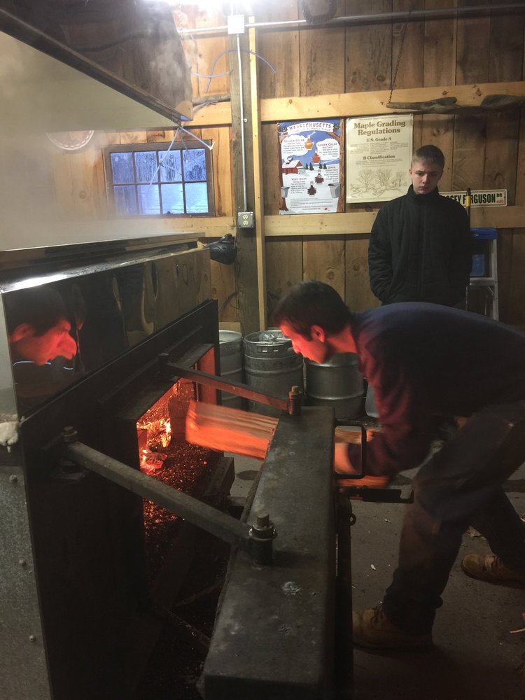 Workers operating a wood-fired evaporator in a sugar shack, with one person adding wood to the fire while another observes, showcasing traditional maple syrup production techniques in a rustic setting.