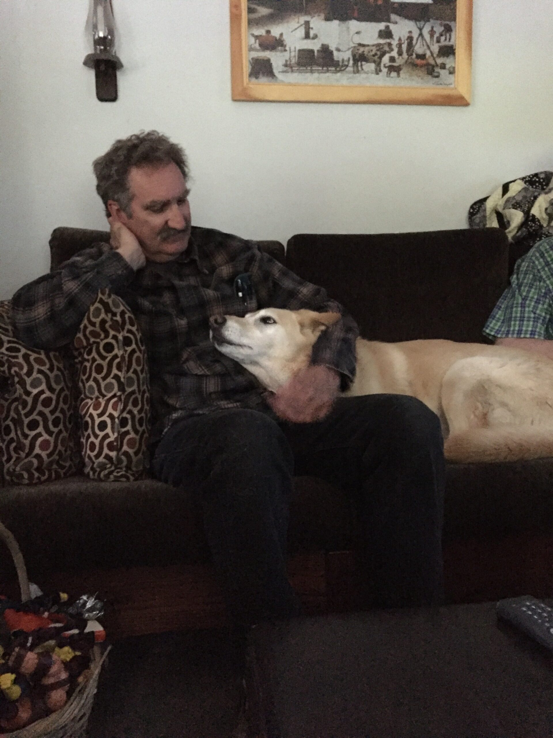 A man sitting on a couch gently petting a golden retriever, both appearing relaxed and content, with a cozy living room setting featuring patterned pillows and a wall decoration in the background.